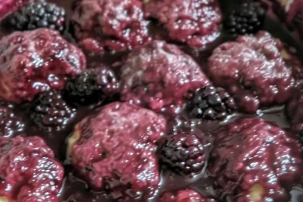 Blackberry Dumplings